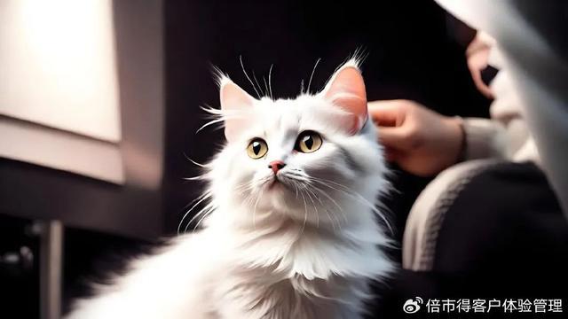 （一）：精细化、智能化、个性化AG真人游戏平台宠物消费新趋势(图3)