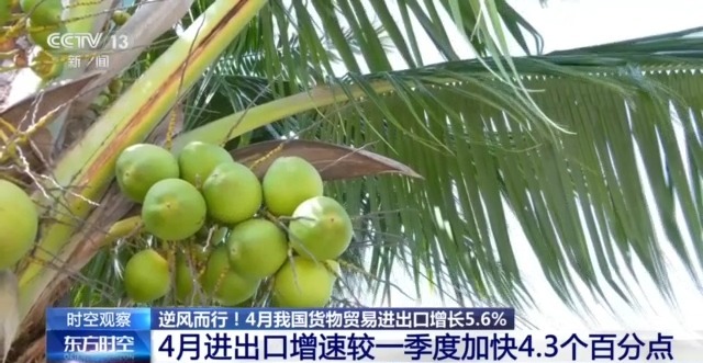 外贸进出口表现亮眼背后的底气AG真人平台关税战下 中国(图10)